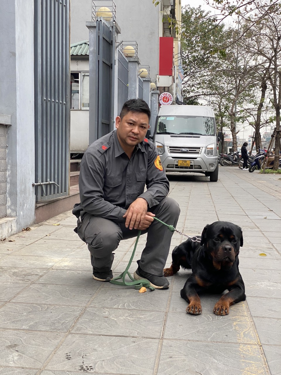 DỊCH VỤ HUẤN LUYỆN CHÓ TẠI NHÀ HÀ NỘI